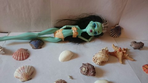 papéis de parede seashell