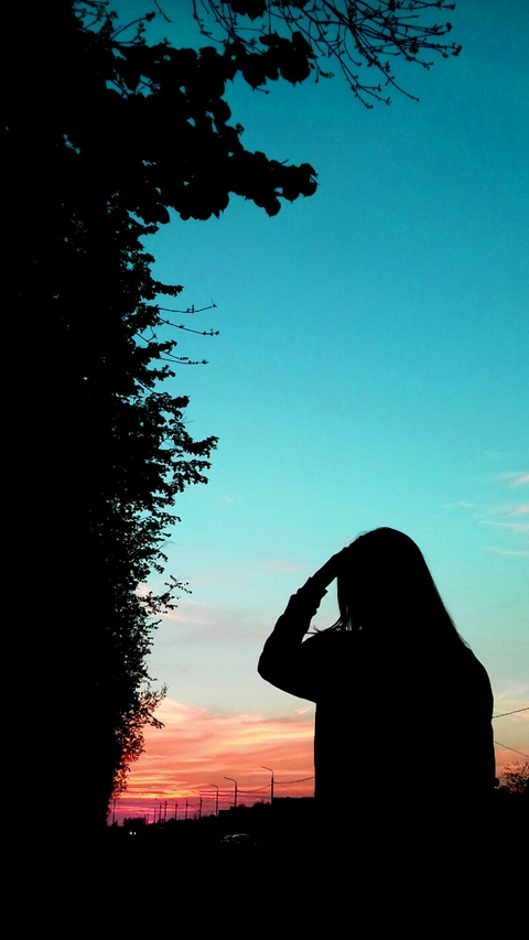 ταπετσαρίες silhouette, phenomen