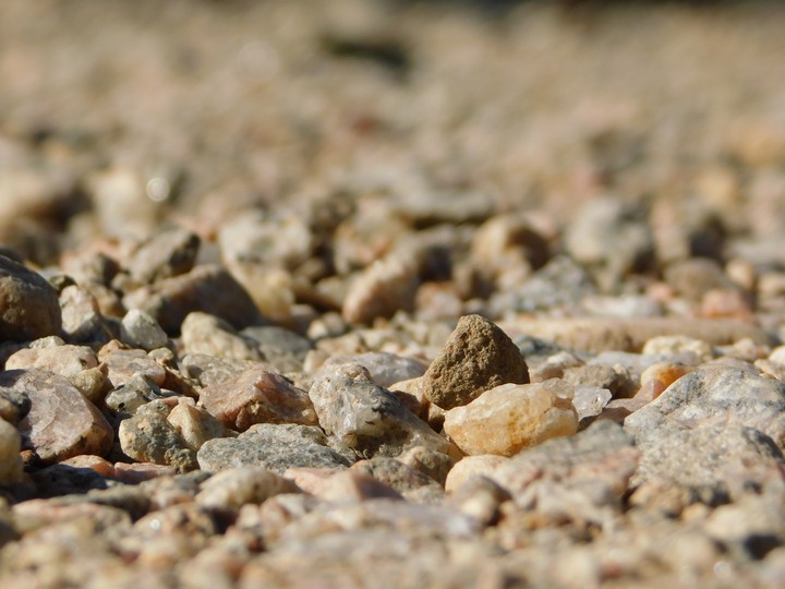 mud ball standing aloft these tiny pebbles!