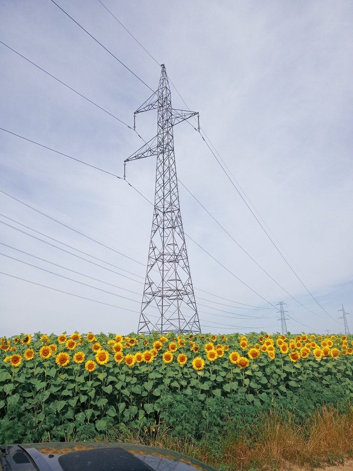 Electricity