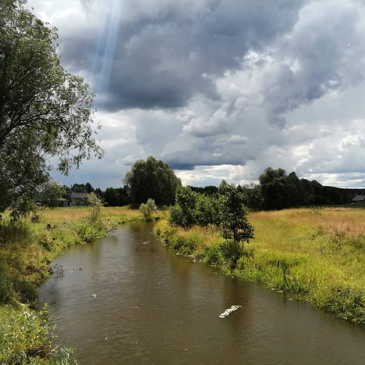 Summer in the country