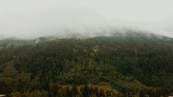 Mist Mountains