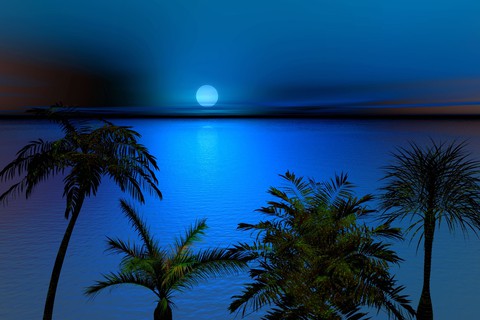 night landscape