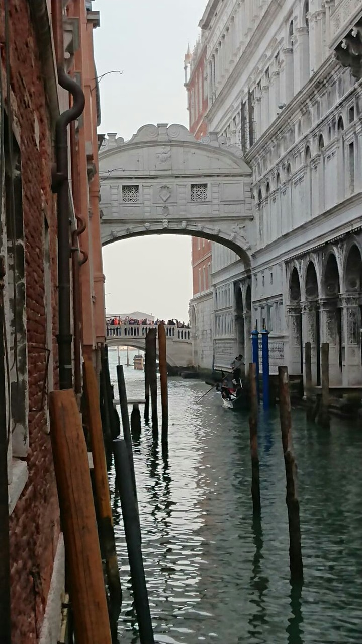 Bellissima Venezia