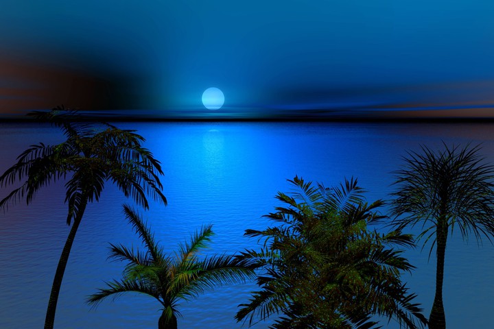 night landscape