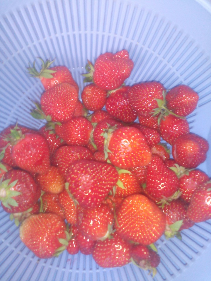 strawberry