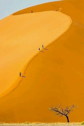 desert walk