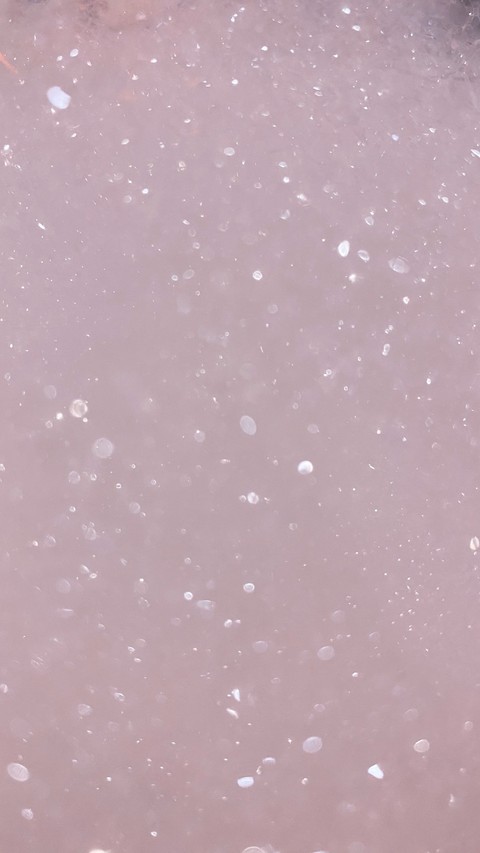 pink, 粉色壁纸