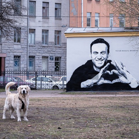 алексей навальный