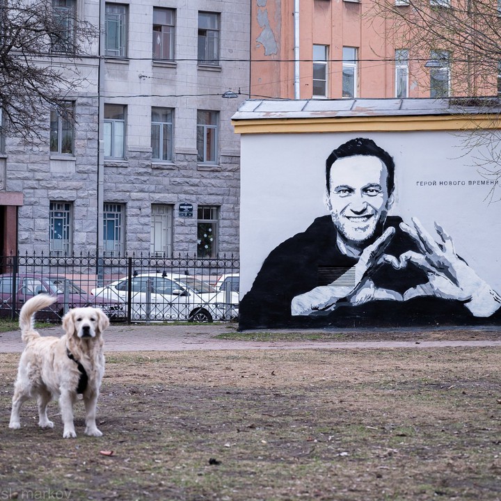 алексей навальный