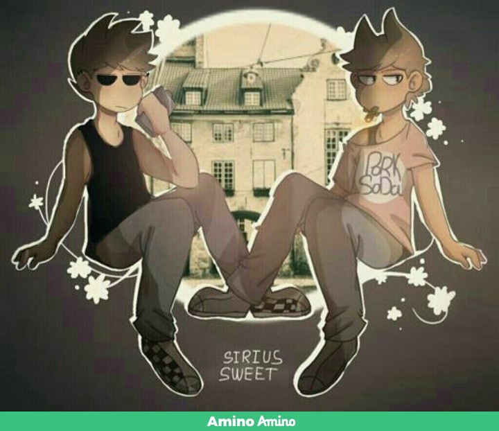 tomtord