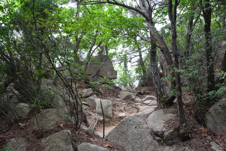 수락산이미지