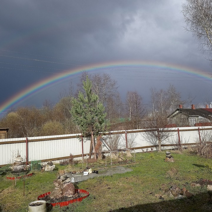 Rainbow