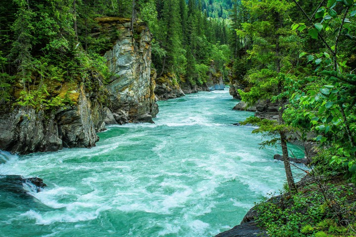 nature