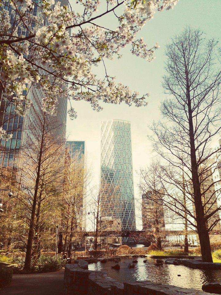 spring is coming