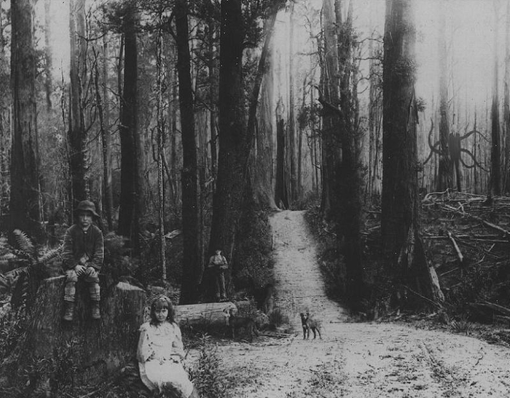 slender man