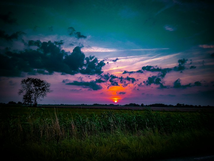 sunset