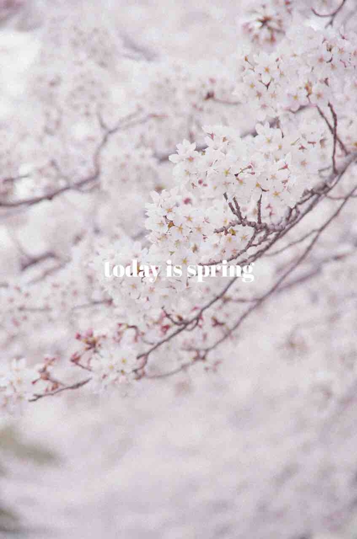 봄의 일기