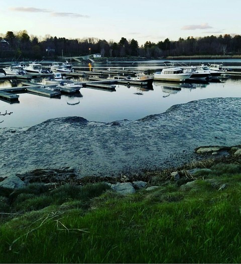 Sailboats at Sunset
