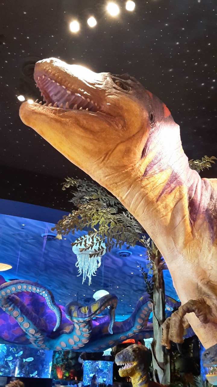 dino