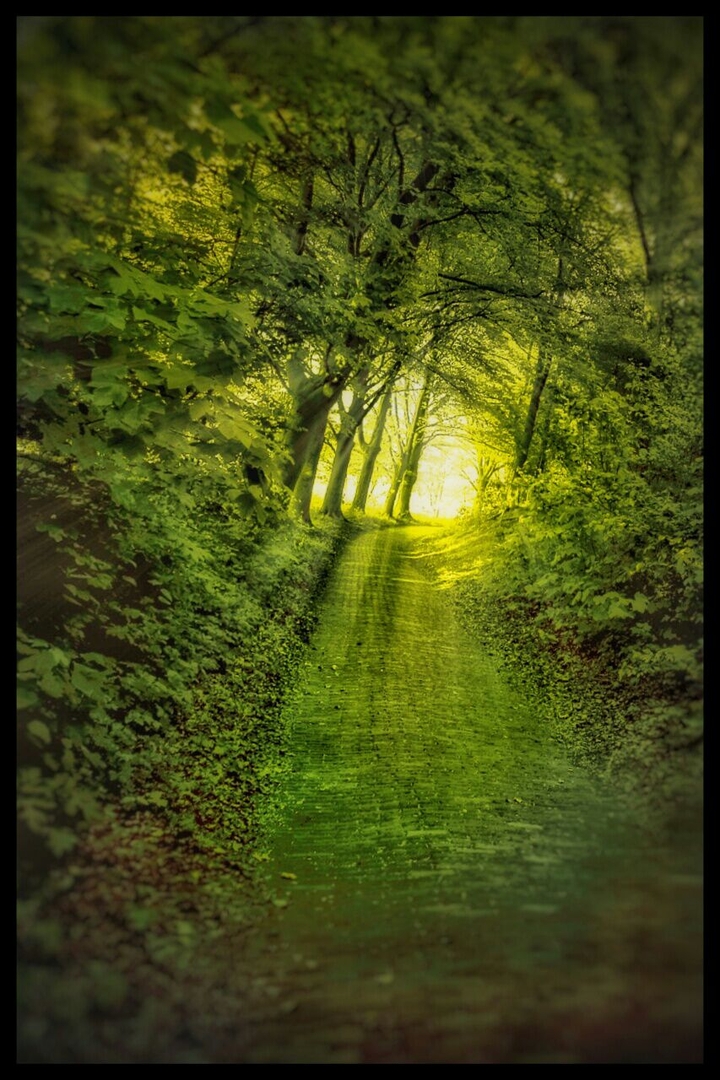 environment