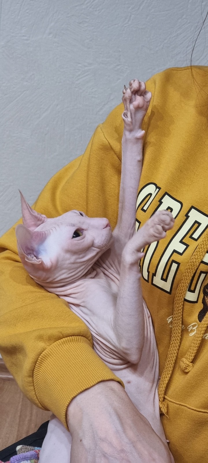 .