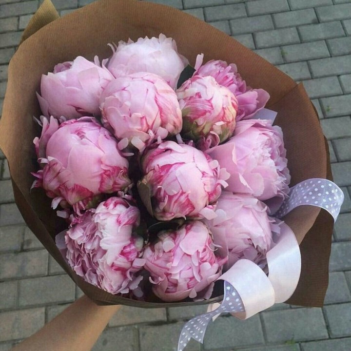 Peonies