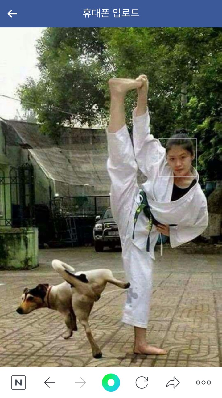 Teageon girl&dog