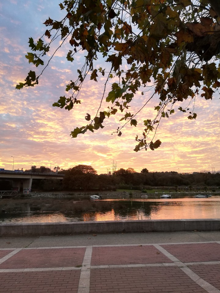 Cloudy sunset