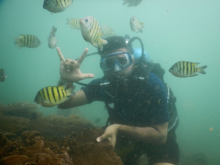 Scuba Diving