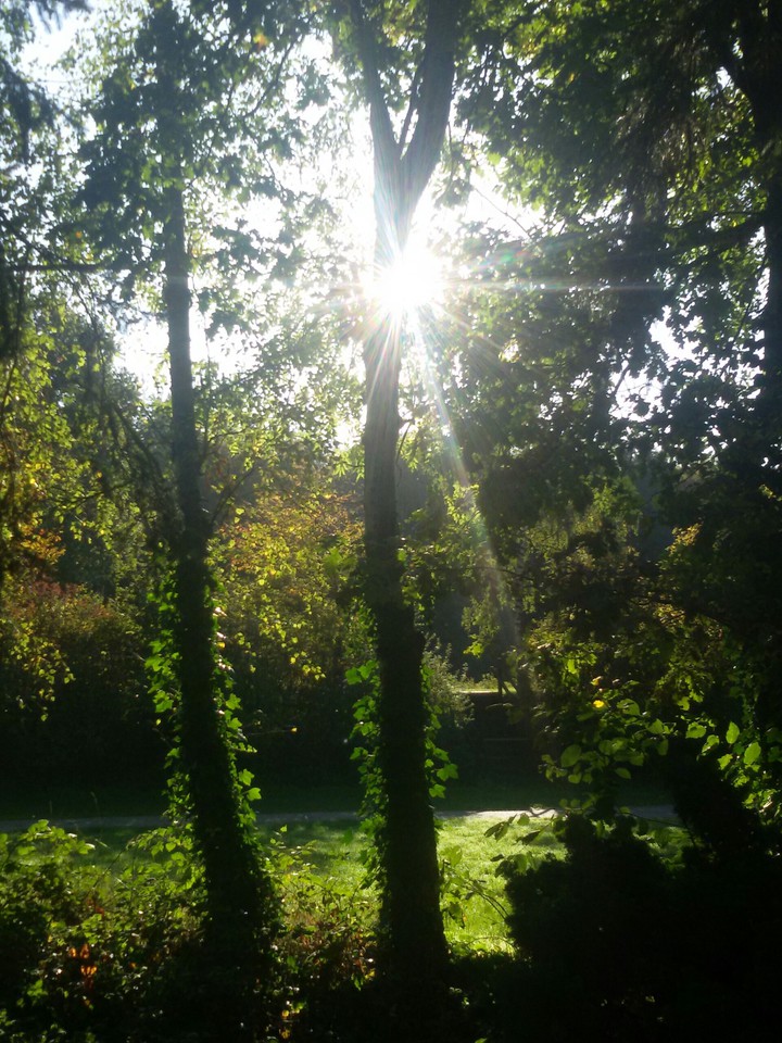 In the morning at 9.00 o'clock, (by myself)