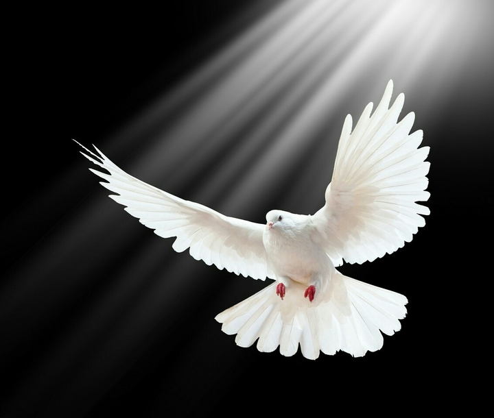 peace