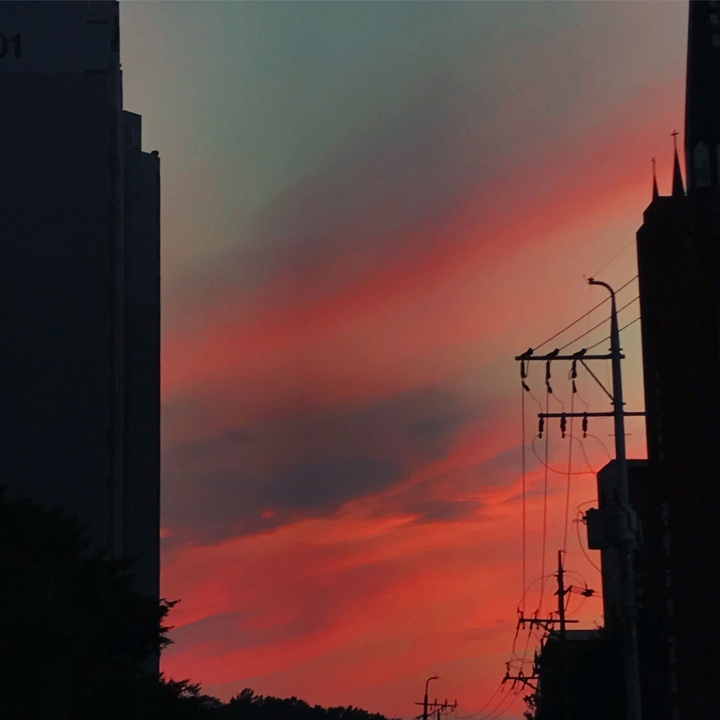 sunset