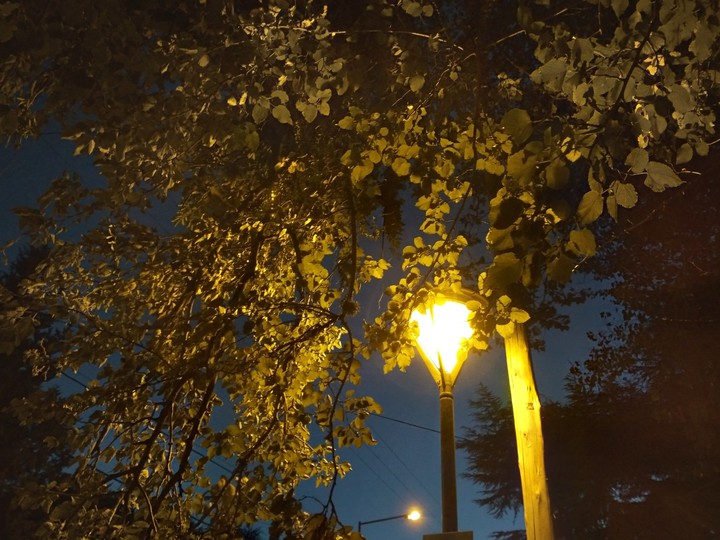 Night light