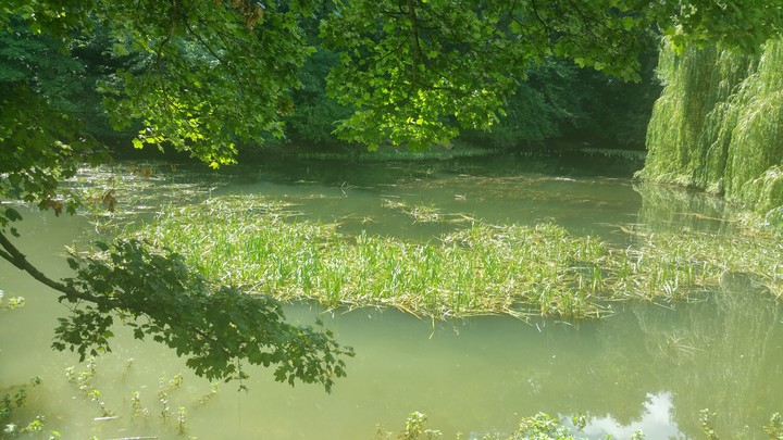 #green