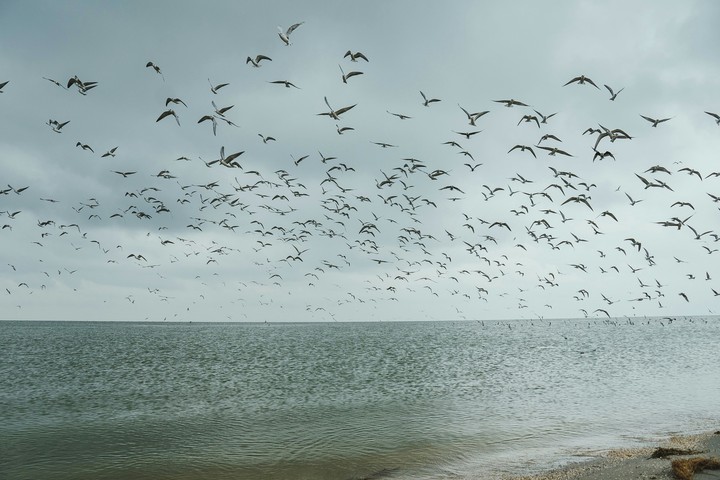 sea