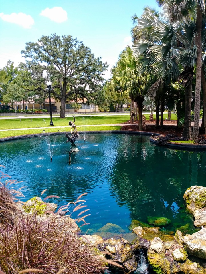 Pond downtown