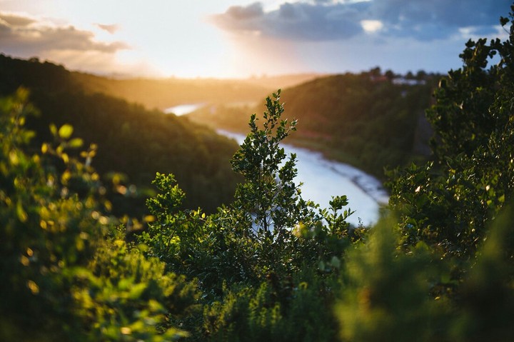 nature