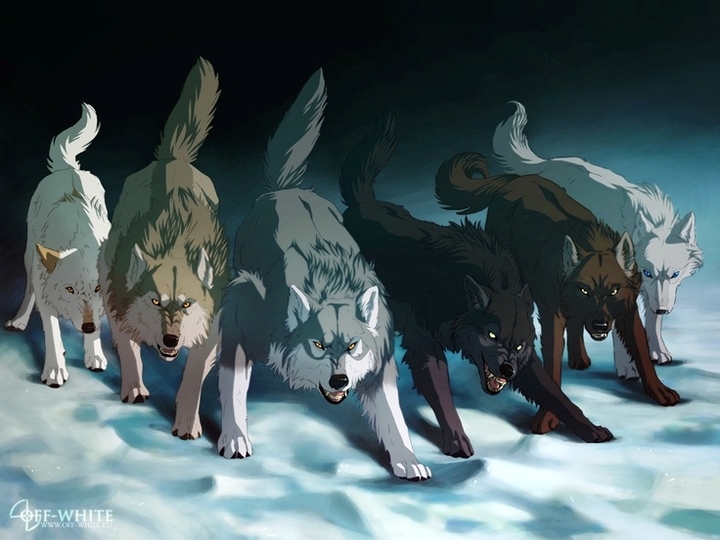 Anime Wolf Pack