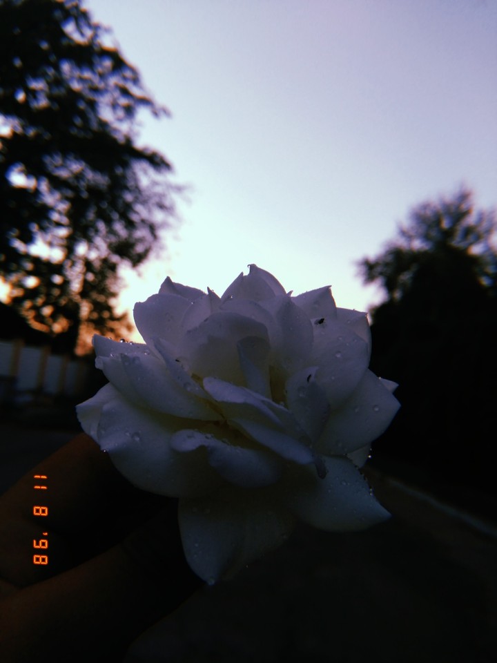 вдохновение