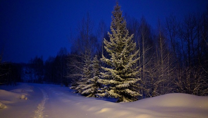 winter morning