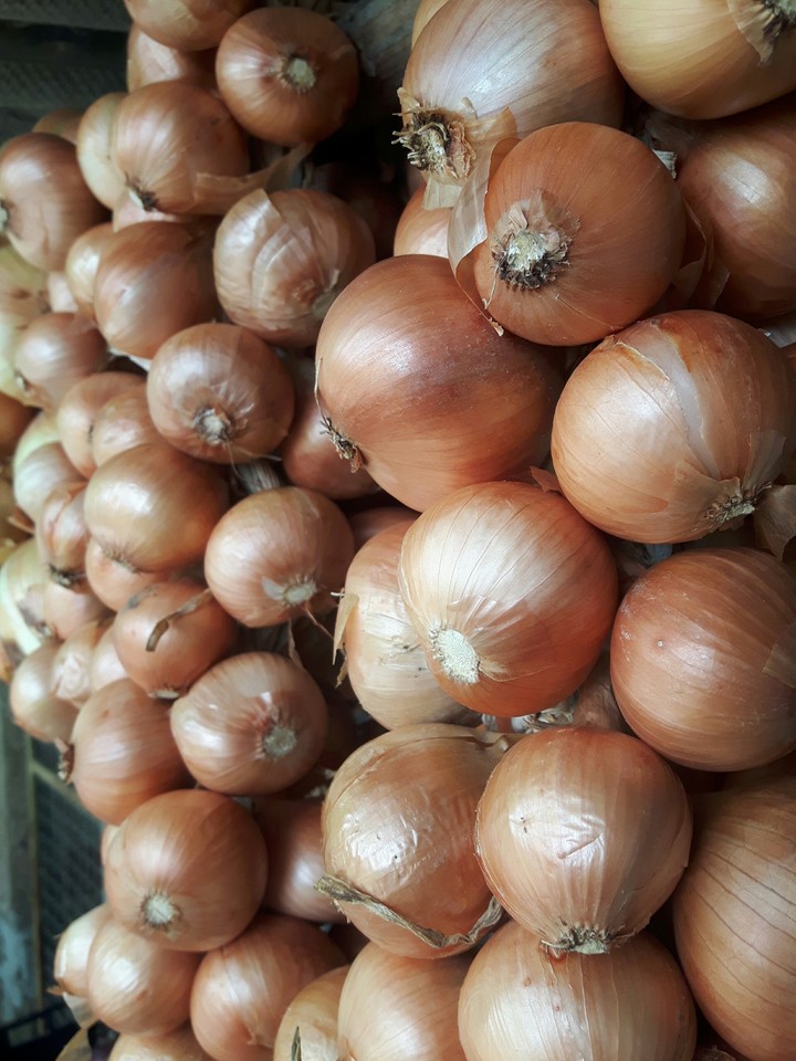 Onion