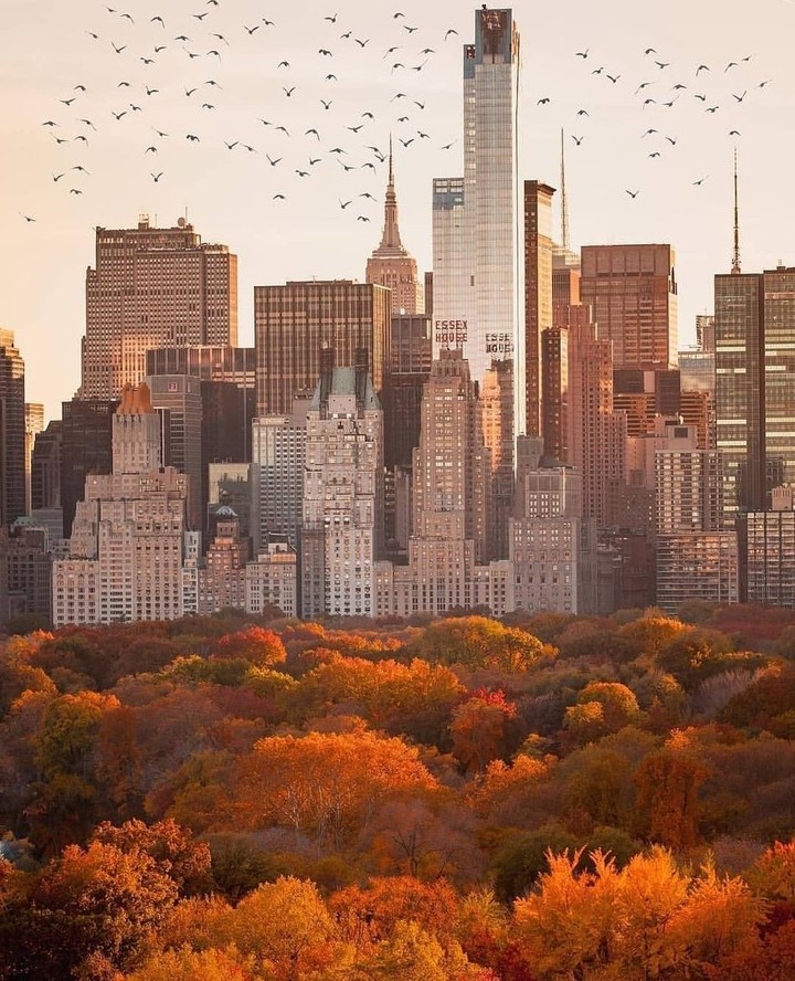 New York