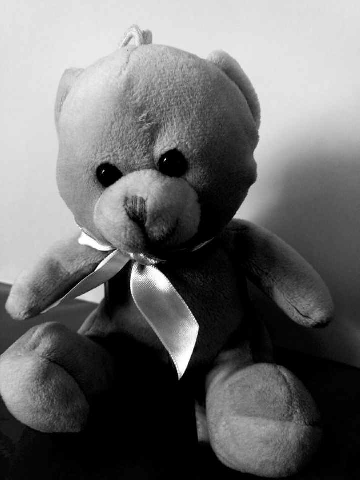 The old friend ted