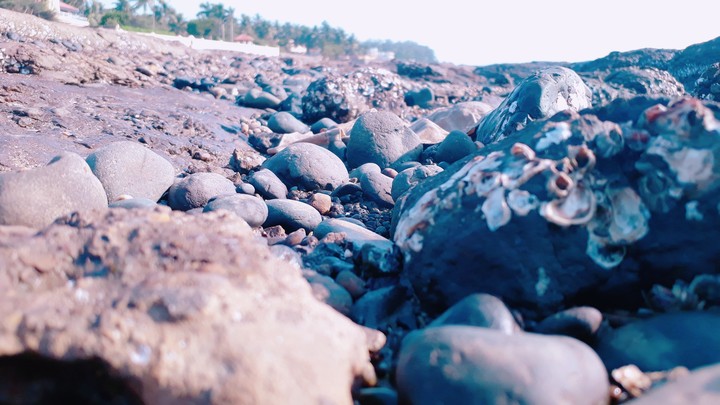 Beach pic