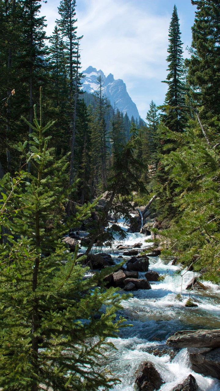 Kumrat Valley, KPK, Pakistan