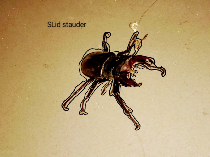 SLid stauder