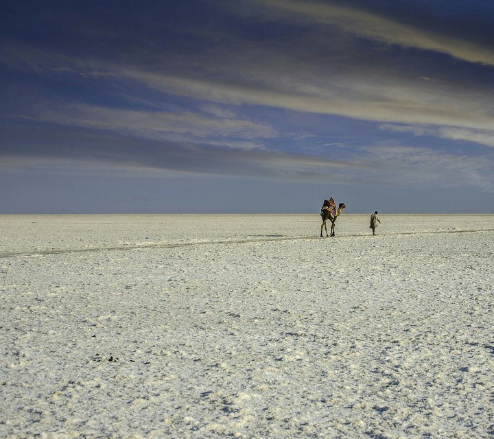 Rann of kachch