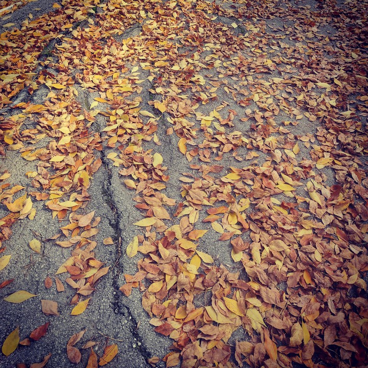 Autumn