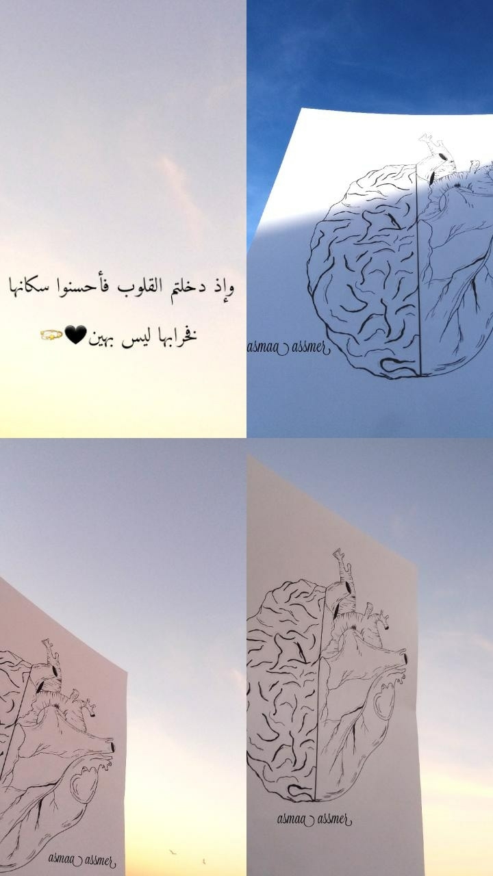 my drawing